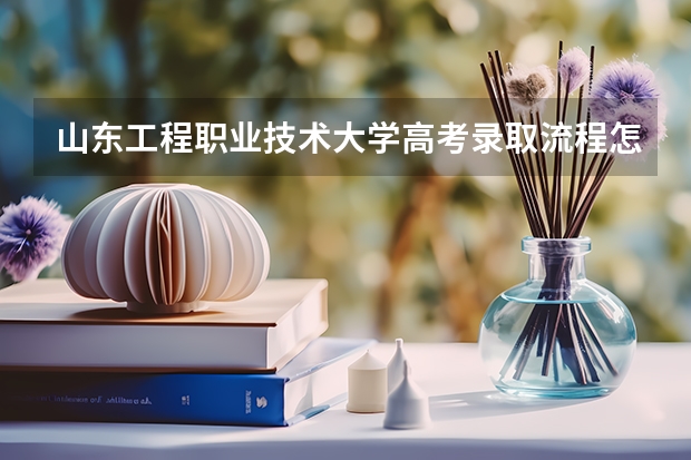 山东工程职业技术大学高考录取流程怎么样？（高考招生政策）