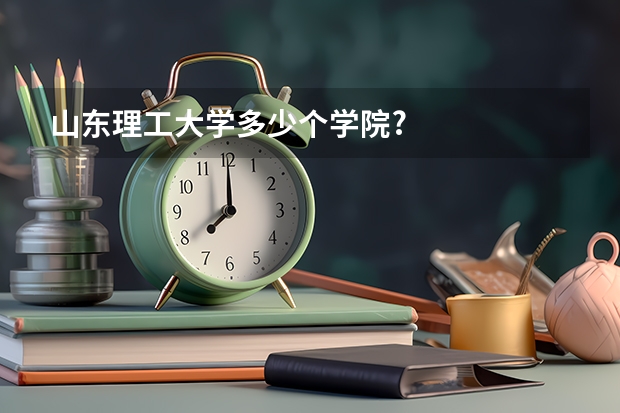 山东理工大学多少个学院?