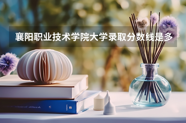 襄阳职业技术学院大学录取分数线是多少？