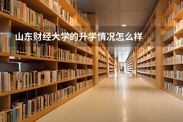 山东财经大学的升学情况怎么样