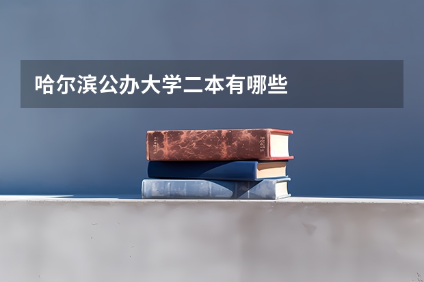 哈尔滨公办大学二本有哪些