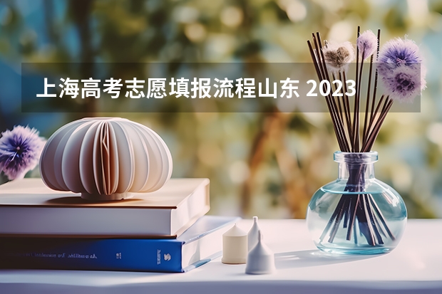 上海高考志愿填报流程山东 2023山东高考志愿填报流程