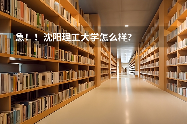 急！！沈阳理工大学怎么样？