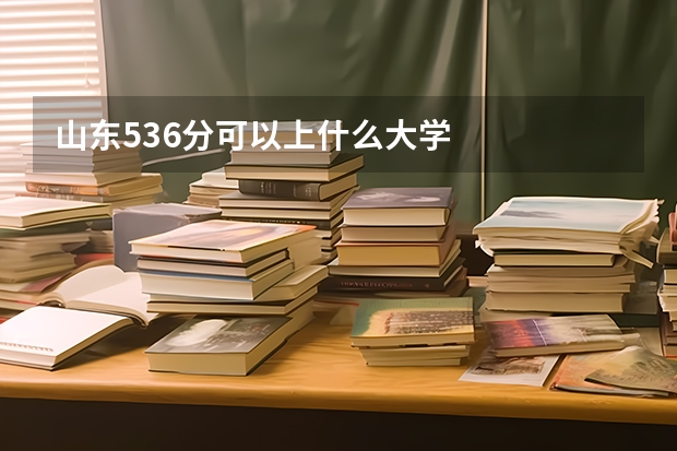 山东536分可以上什么大学