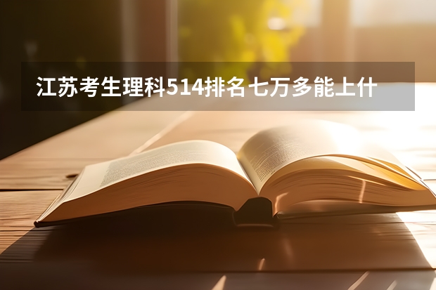 江苏考生理科514排名七万多能上什么一本大学?