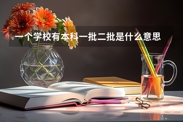 一个学校有本科一批二批是什么意思