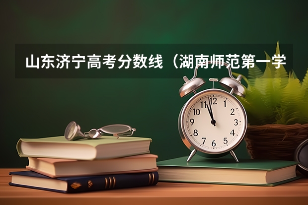 山东济宁高考分数线（湖南师范第一学院书法专业录取分数线23年）