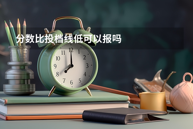 分数比投档线低可以报吗