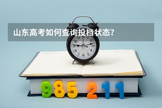 山东高考如何查询投档状态？