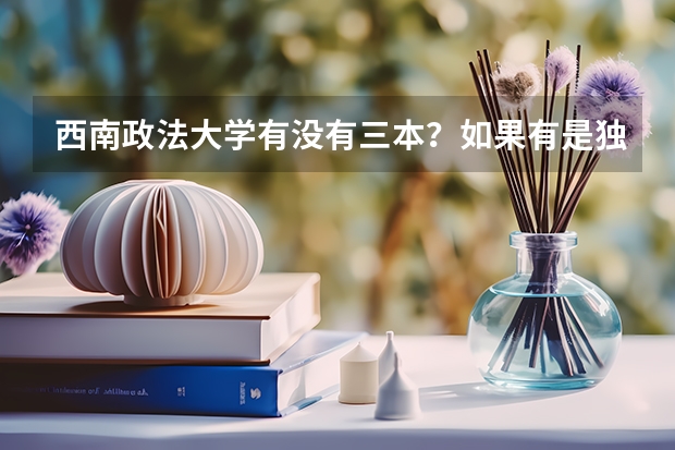 西南政法大学有没有三本？如果有是独立学院还是在本校内设的？知道的麻烦告诉一下，谢谢！（重庆有那些本科大学.?要具体的资料.分一本,二本,三本.）