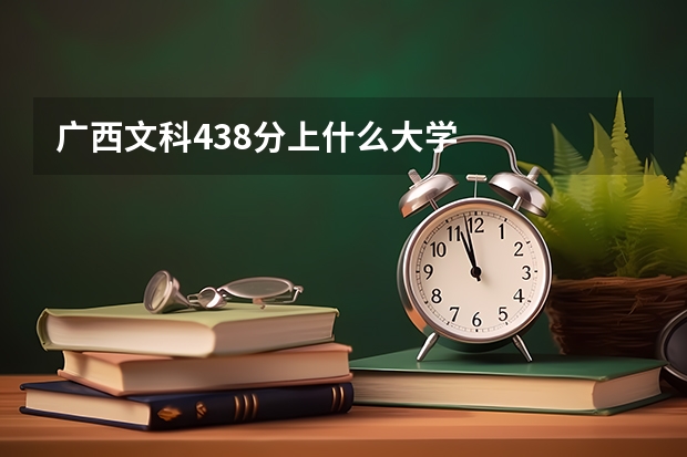 广西文科438分上什么大学