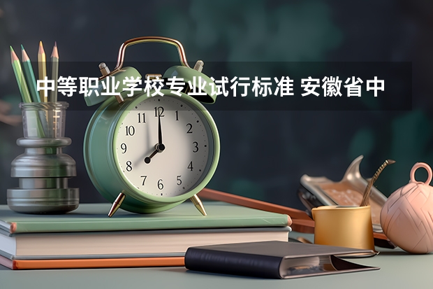 中等职业学校专业试行标准 安徽省中等职业学校实习指导教师专业技术资格标准条件（试行）的第六章